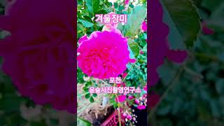 모델 라이트페인팅 스킬 예술사진  특수촬영 포천 윤슬사진촬영연구소 사진촬영 사진작가