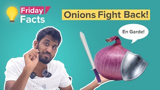 Why do onions make us cry