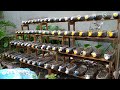 Tái chế chai nhựa cũ để trồng rau cải | Recycle old plastic bottles to grow vegetables