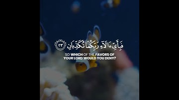 قرآن كريم بصوت القارئ صالح البدير