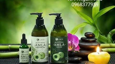 Dầu Gội Trị Rụng Tóc Amla