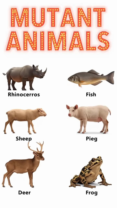 🐸 Mutant Animals Part-2🐑🤯#shorts#animals #mutantanimals#mutant#sheep  #creatures#mythicalcreatures