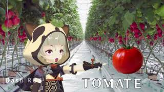 Sayu Tomate [Genshin impact] ytph