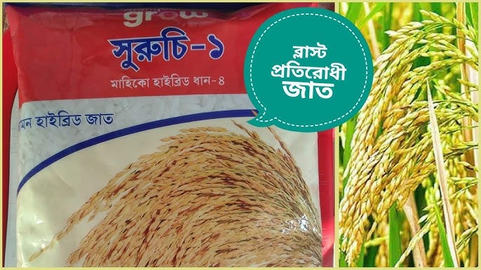 Dik sorish uchun jirkanch