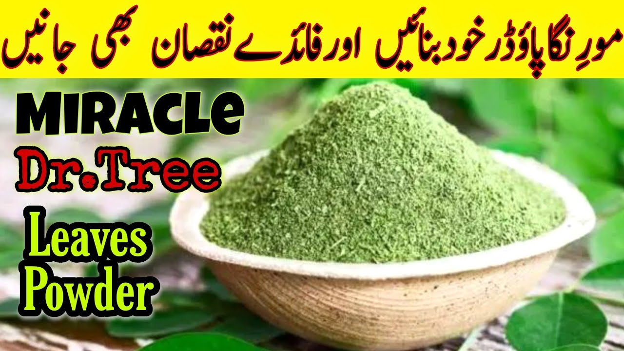 How To Make Moringa Leaf Powder How to make Moringa Powder at Home | Drumstick leaves Powder | Moringa