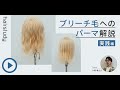 （サンプル動画）ブリーチ毛へのパーマ解説 〜実践編〜