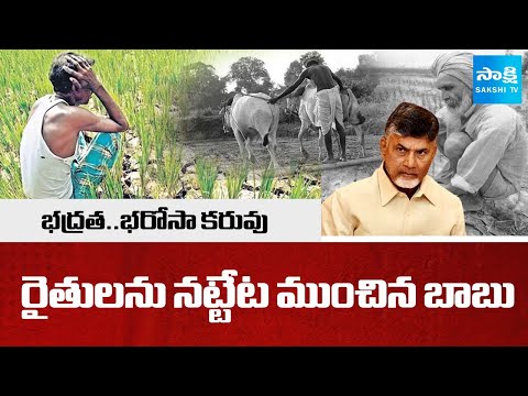 Chandrababu Govt Negligence On Crop insurance Policy | Uchitha Pantala Bheema | @SakshiTV
