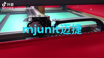 Gantry type synchronous belt electric linear sliding rail level module CNC moving rail actuator