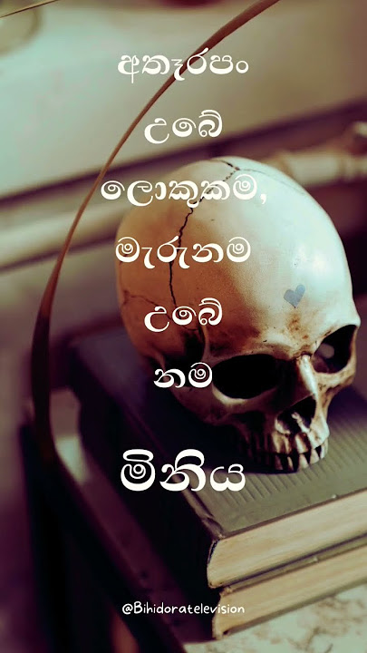 #bihidoratv #srilanka #lanka #srilankan #ශ්රීලංකා #ශ්රීලංකාව #slshorts #shorts #short #dailyquotes