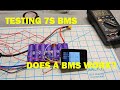 TESTING DALY BMS - DOES IT WORK?