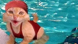 СОБАКА ПРИНИМАЕТ ДУШ! РЖАЧ) СОБАКА ПРИНИМАЕТ ДУШ! РЖАЧ)