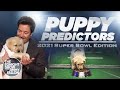 Puppies Predict the Winner of Super Bowl LV