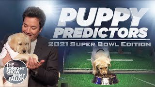 Puppies Predict the Winner of Super Bowl LV