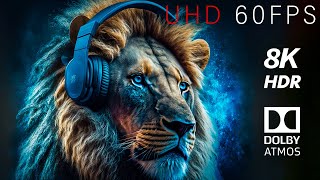 Wild Animals Collection 8K Hdr 60Fps Dolby Atmos