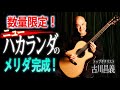 【史上最高傑作か⁉︎】圧倒的コスパで人気爆発中アコースティックギターブランド『Merida（メリダ）』の特別限定モデルが爆誕！圧倒的倍音を放つニューハカランダ（グアナディロ）を使用した「巨匠」が登場！