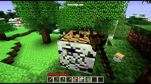 Fraps Recording Test