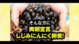 しじみにんにく卵黄口コミ・効果・購入・通販・評判