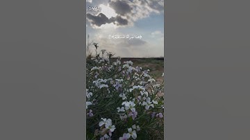 ذلك عيسى ابن مريم|سورة مريم |القارئ شريف مصطفى