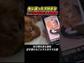 旅立ちの直前、電話から聞こえた懐かしい声に•••