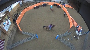 Big Sky Ranch Sorting Saddle Series #2 - #6 H/C - Round #2 - Ride #5