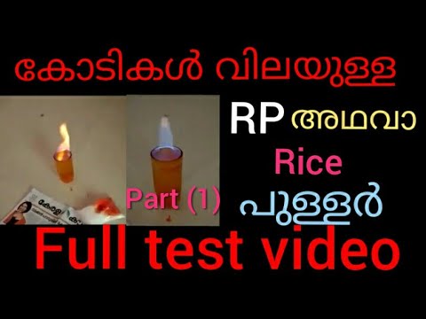 Price in crores = RP (rice pullar ) unbelievable test video