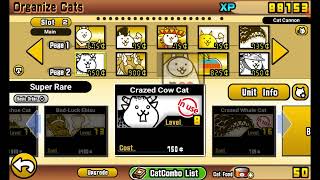 Whats Wrong With My Cow?. (I GOT CRAZED COWWWWW)