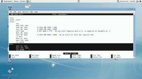 Explotación de Software - Parte VII Instrucciones Logicas en Assembly