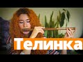 Що таке телинка? | Сопілка