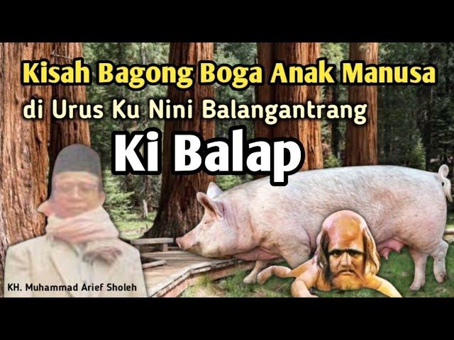 Kisah Bagong Boga Nak Manusa || di Urus Ku Nini Balangantrang class=