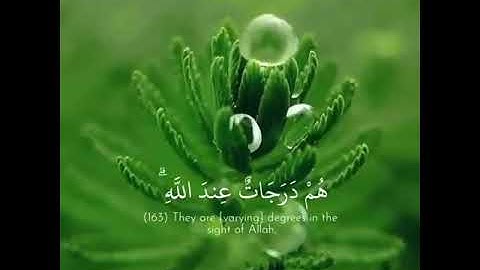 سورة آل عمران آية 162-163| والله بصير بما يعملون ❤️