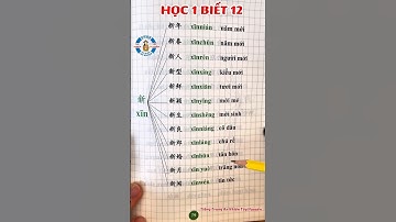 HỌC 1 BIẾT 12!!! Mở Rộng Từ Vựng Với 新 nha các bạn 🥰 #tiengtrungannhientaynguyen