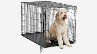 MidWest iCrate Single Door Folding Metal Dog Crate Review Get it Here - https://www.amazon.com/MidWest-Folding-Divider-Protecting-Leak-Proof/dp/B000OX89VK?psc=1&SubscriptionId