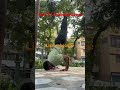#brahmacharya #calisthenics #gymmotivation #motivation #discipline #shortvideo #premanandjimaharaj