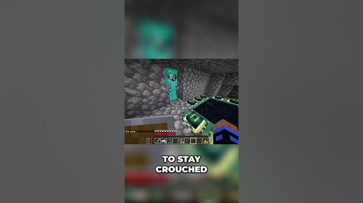 Hiding Every End Portal On  Lifesteal SMP