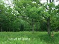 Capture de la vidéo Christian Sinding: Rustles Of Spring, Opus 32 No. 3