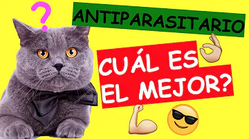 ¿Cuánto tarda en hacer efecto el antiparasitario para gatos?