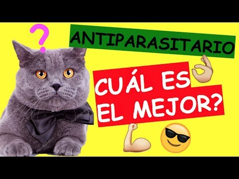 Video: Pamoato De Pirantel Para Perros Y Gatos