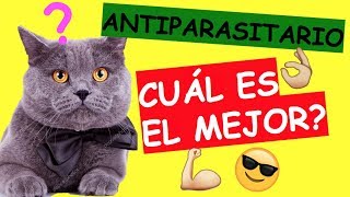 QUÉ ANTIPARASITARIO ES EL MEJOR Para Gatos?