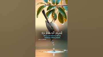 تلاوة خاشعه اسمع بقلبك 🍂🎧#قران_كريم #قرآن #quran #اكسبلور #راحة_نفسية #trending #لايك