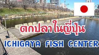 ตกปลาในญี่ปุ่น EP1. Ichigaya fish center