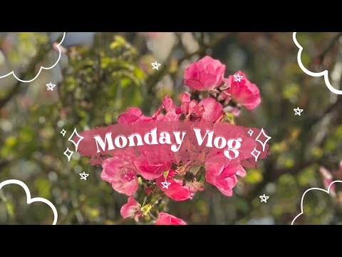 VLOG | Afternoon Walk 🌷☀️🍃