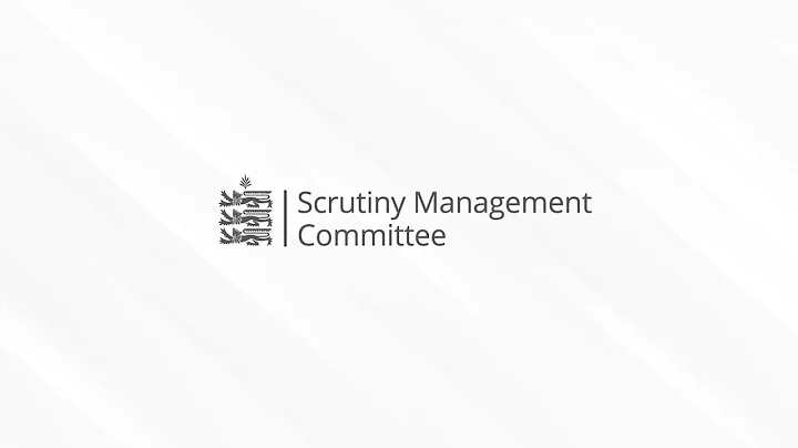 Scrutiny Management Committee 18th November 2025