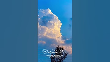 #القرآن الكريم