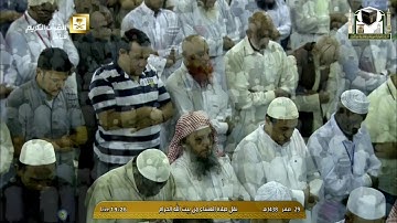 صلاة العشاء 1438 2 29  - الشيخ د.ماهر المعيقلي - سورة آل عمران