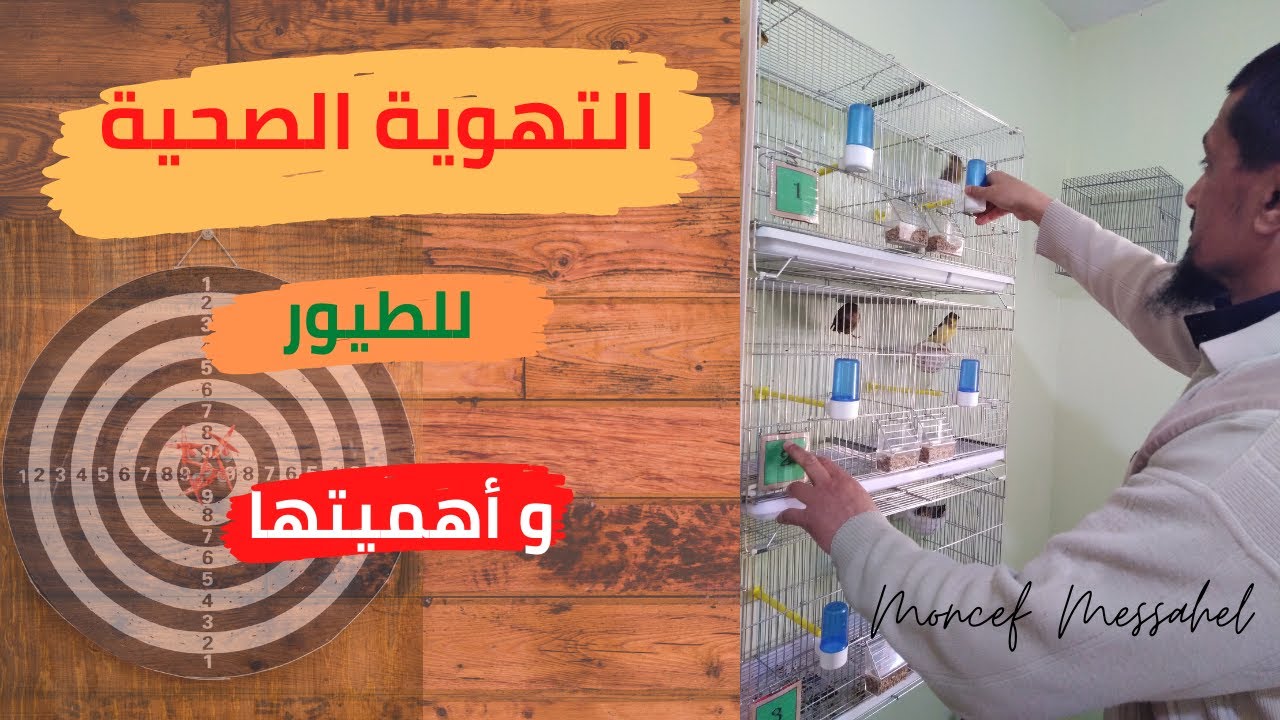 التهوية الصحية لطيور الزينة