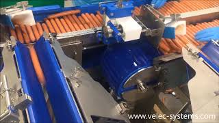 Hot-dog loader dual line | Velec Systems  ✅ screenshot 1