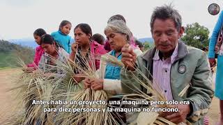 La vida en la Montaña Alta de Guerrero || PALMA; Vivir en la Montaña de Guerrero