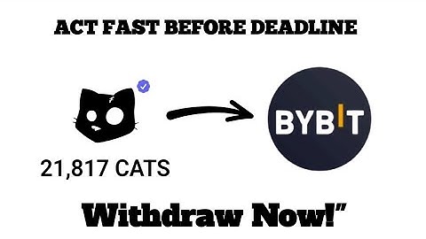 "Cat 🐈 Airdrop Withdrawal to Bybit – All Bybit Withdrawal Problems Solved!"
