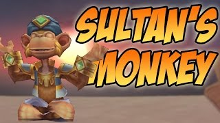 Wizard101: Sultan's Monkey Pet Showcase