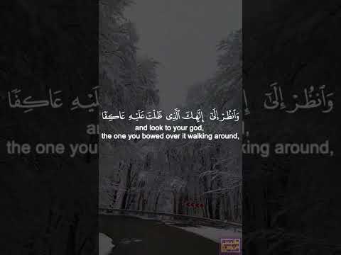 تلاوة تريح سمعك للقارئ إسلام صبحي الاية 97 98 من سورة طه Shorts